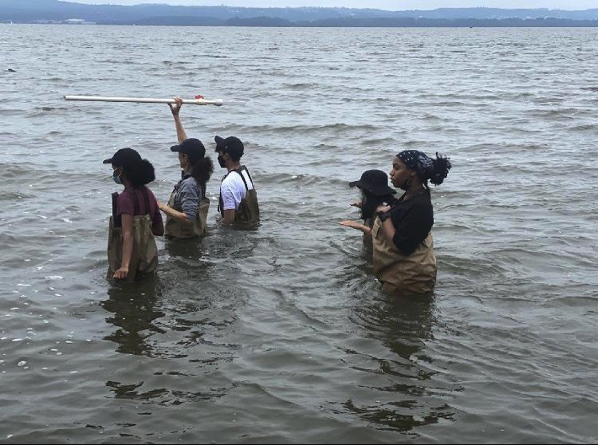 The Lamont Next Gen interns collected small sediment cores from the Hudson to look at river processes and history. They learned that the color of the Hudson is not due exclusively to sediments but also to nutrients, plankton and other important organics. 