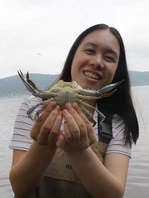 Jiaming Li holds a large blue crab by the swimmerets, a technique that prevents the crab from reaching around to pinch your fingers.