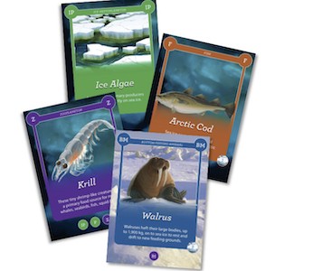 4 cards from the EcoChains card game deck