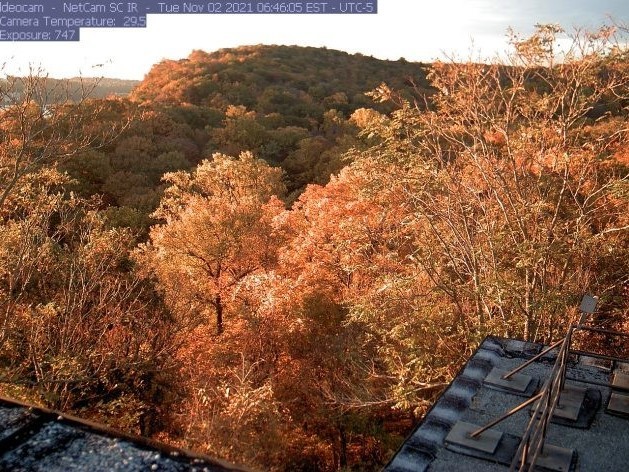 PhenoCam’s view of the fall foliage around the Lamont-Doherty Earth Observatory on November 2, 2021