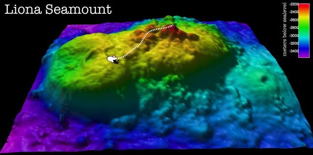 The Liona seamount.