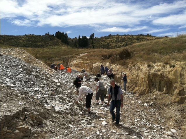 Paleobotanists digging in rubble