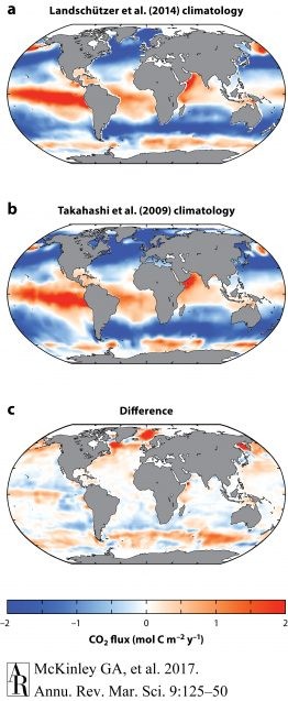 maps of ocean carbon flux