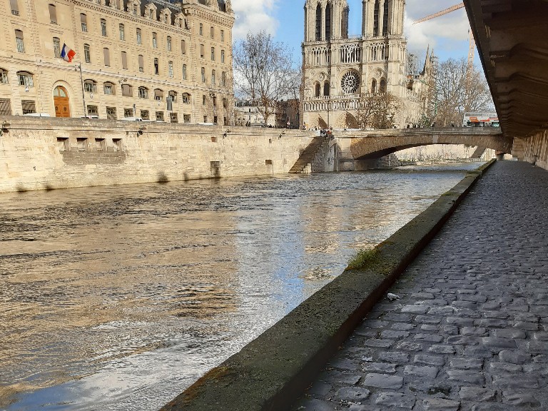 lead fallout notre dame fire