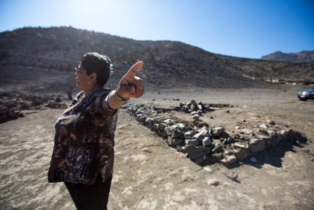 anillos de crecimiento de los arboles revelan aumento sin precedentes en extremos climaticos en sudamerica