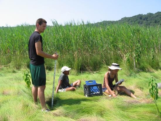 Habitat assessment in marsh interior. Habitat assessment in marsh interior.