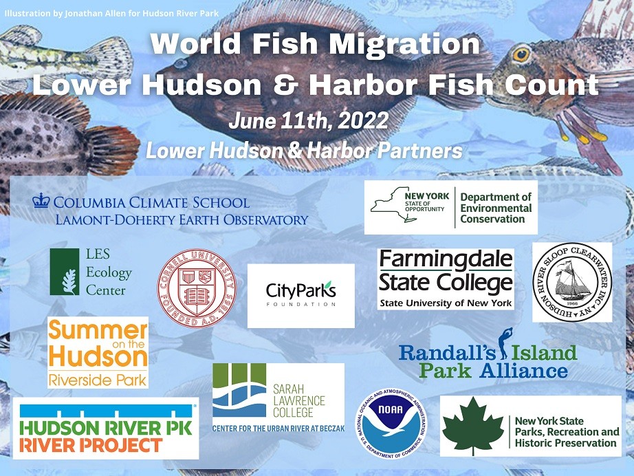WFMD Lower Hudson and Harbor 2022 partner organizations for this year’s fish count!