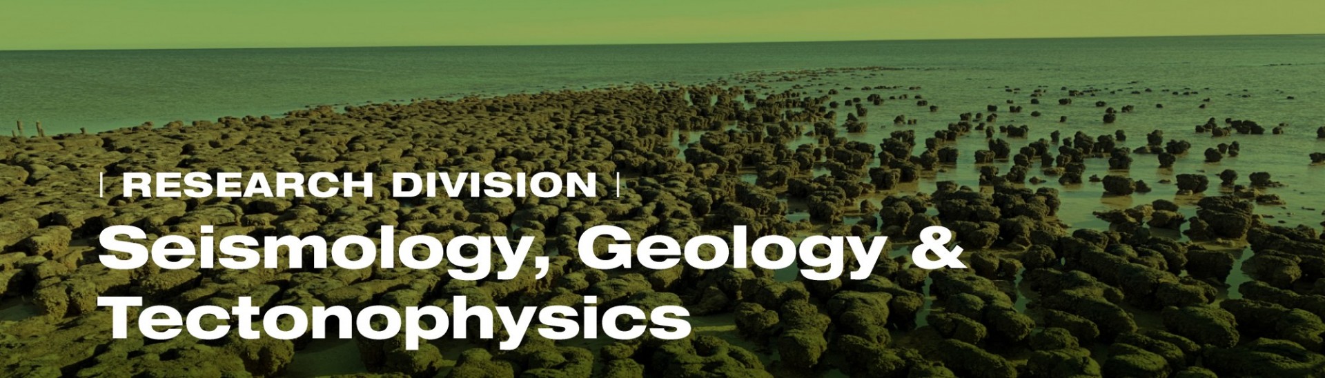 Seismology, Geology & Tectonophysics Division