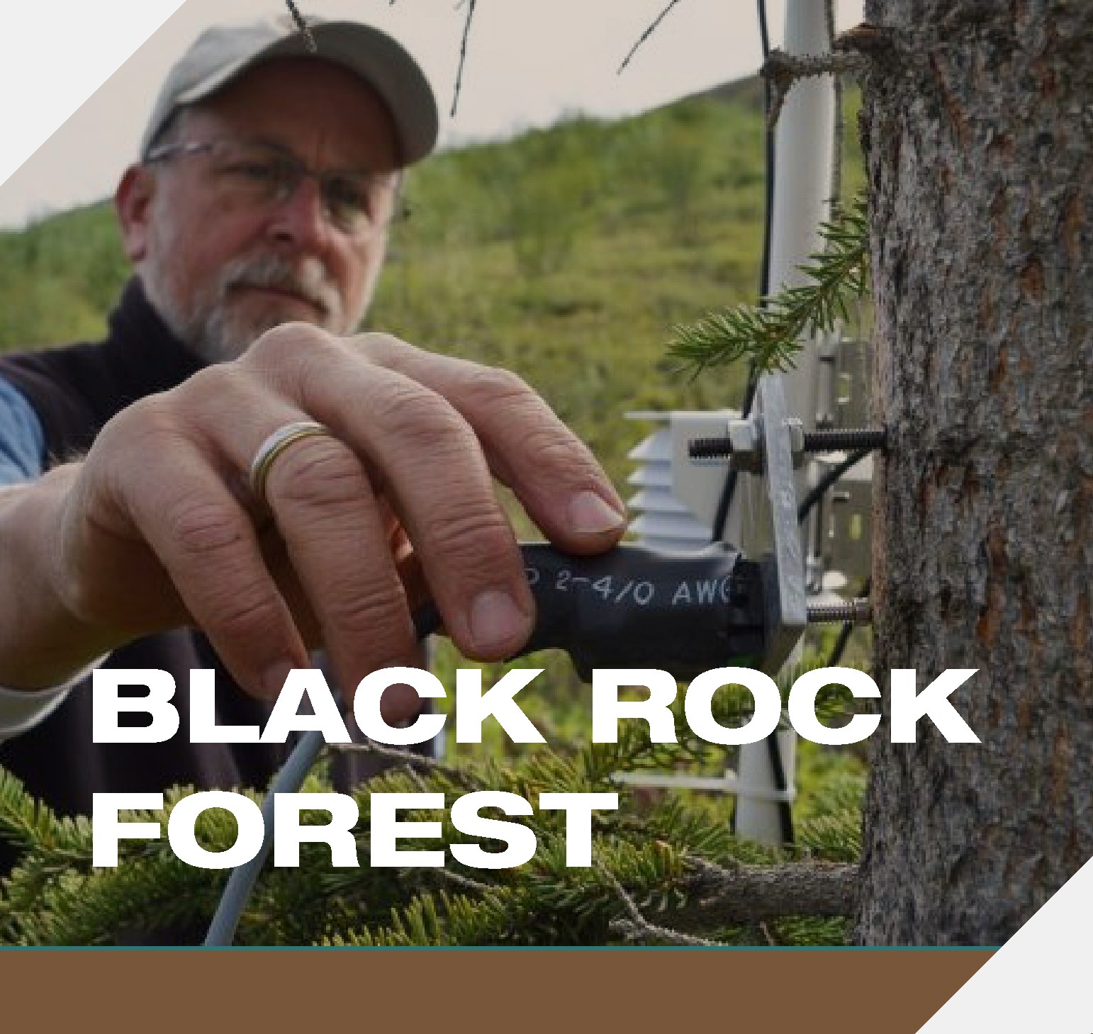 Black Rock Forest