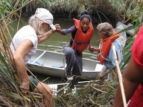 A hand up to the marsh surface.