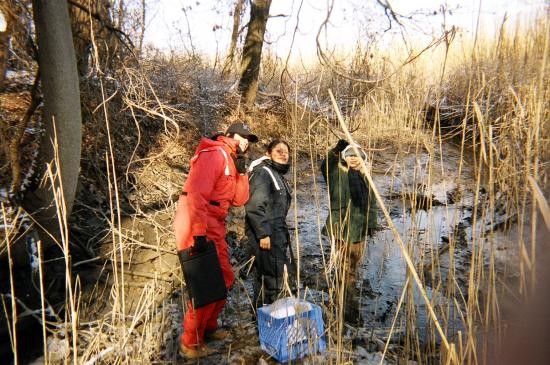 Collecting water samples at head of Crumkill Creek.