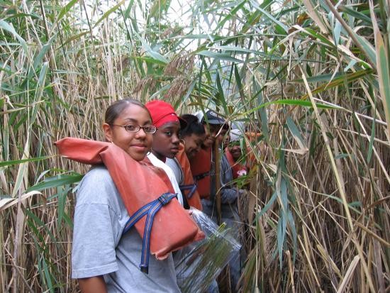 Bushwhacking into marsh interior.