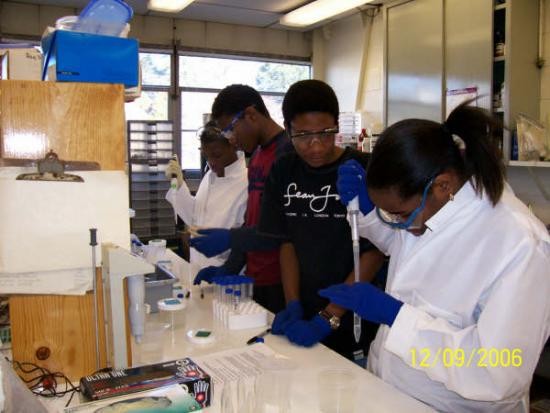 Processing water samples in lab.