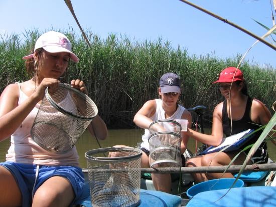 Navigating the tidal creek.