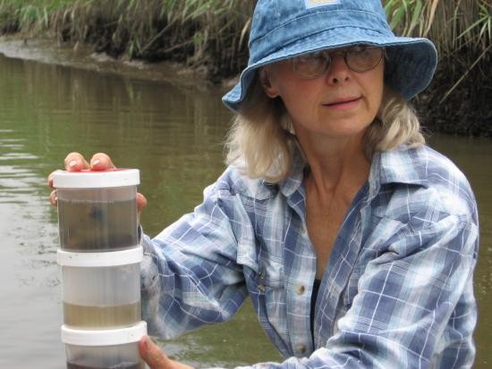 Preserving samples in 10% formalin.