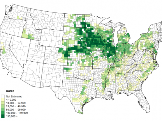 Acres of corn planted by county. Source: USDA, National Agricultural Statistics Service