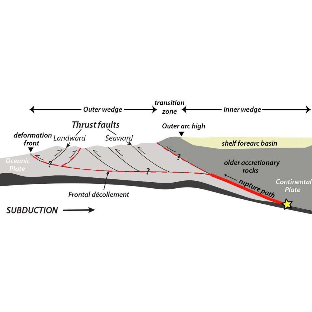 A schematic cross-section of the Cascadia Subduction Zone shows the ocean floor plate (light grey) moving under the North American continental plate, along with other features. Credit: USGS 