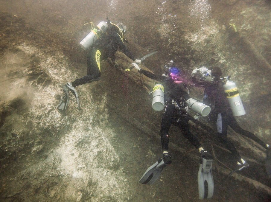Brendan Buckley and colleagues sample trees underwater in Belize. Credot" Tony Rath