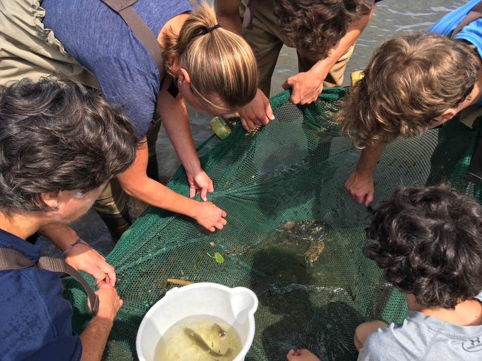 Community science participants examining seining net. Credit: Margie Turrin