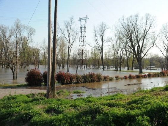 A flooded farm in Arkansas. Photo: Jocelyn Augustino/FEMA via Wikimedia Commons