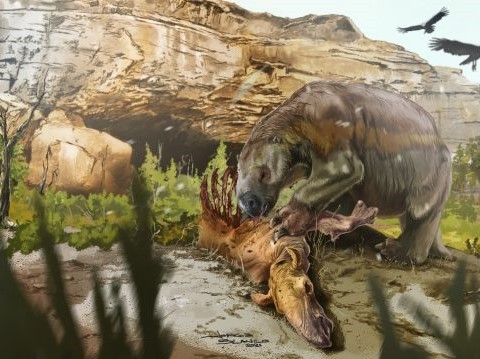 The giant ground sloth Mylodon darwinii feeding on the carcass of the hoofed herbivore Macrauchenia. Artistic reconstruction: Jorge Blanco