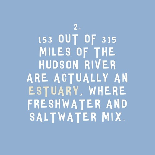 5 facts about the Hudson that you might not have known: Fact 2. Created by Kashi Nanavati, Jed Roth, and Jeanne Joof.
