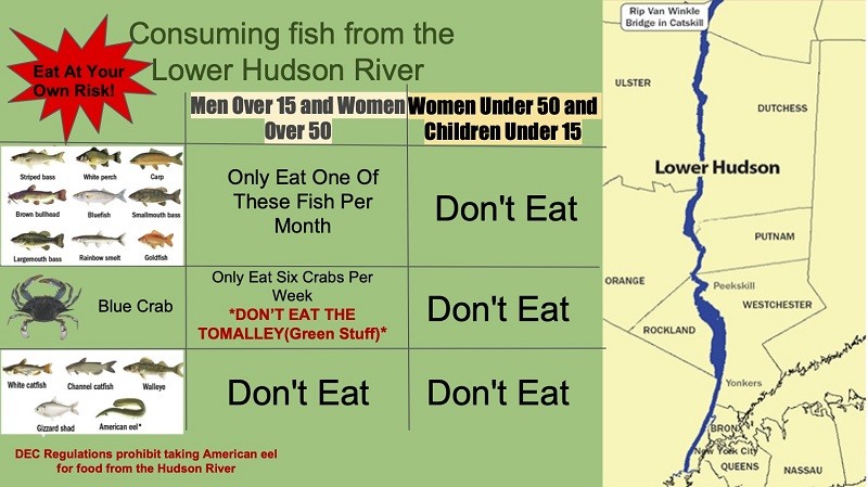 Public Service Announcement: Lower Fish Advisory. Creators: Aisha and Jed