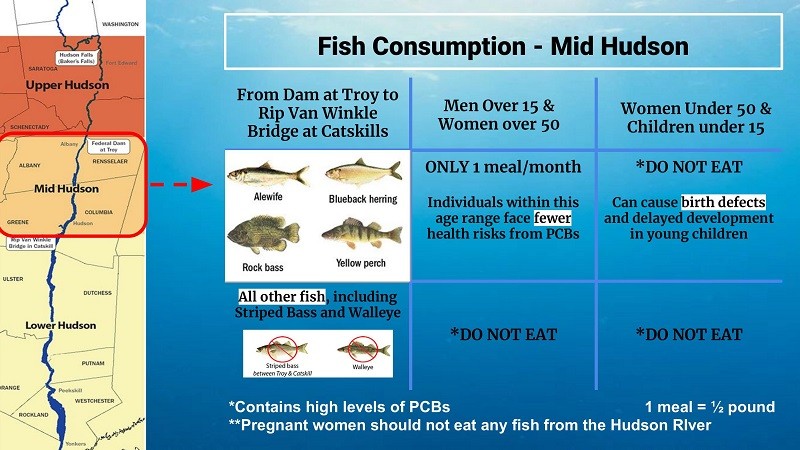 Public Service Announcement: Mid Hudson Fish Advisory. Creators: Yi, Mika, Jeanne