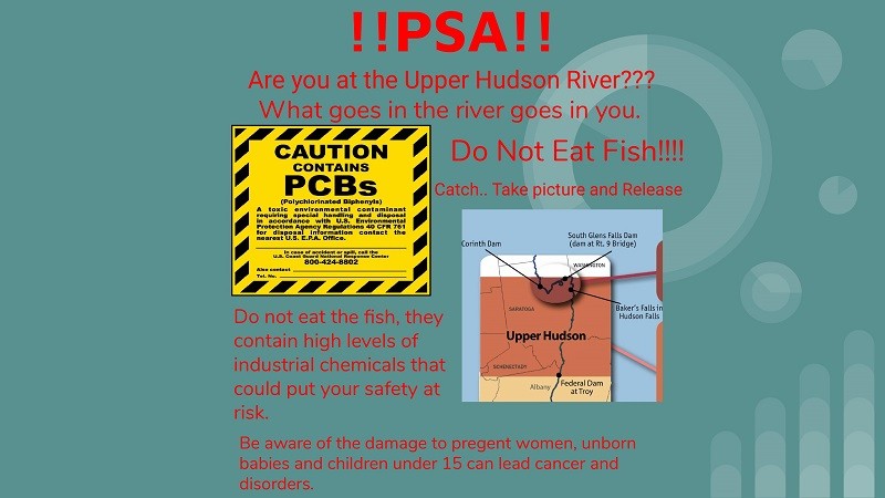 Public Service Announcement: Upper Hudson Fish Advisory. Creators: Tenin and Ace Public Service Announcement: Upper Hudson Fish Advisory. Creators: Tenin and Ace