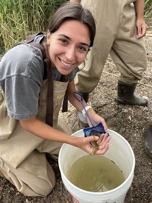 Marisa Annunziato, one of our undergraduate mentors, holds an American eel that was caught off of Piermont Pier. 