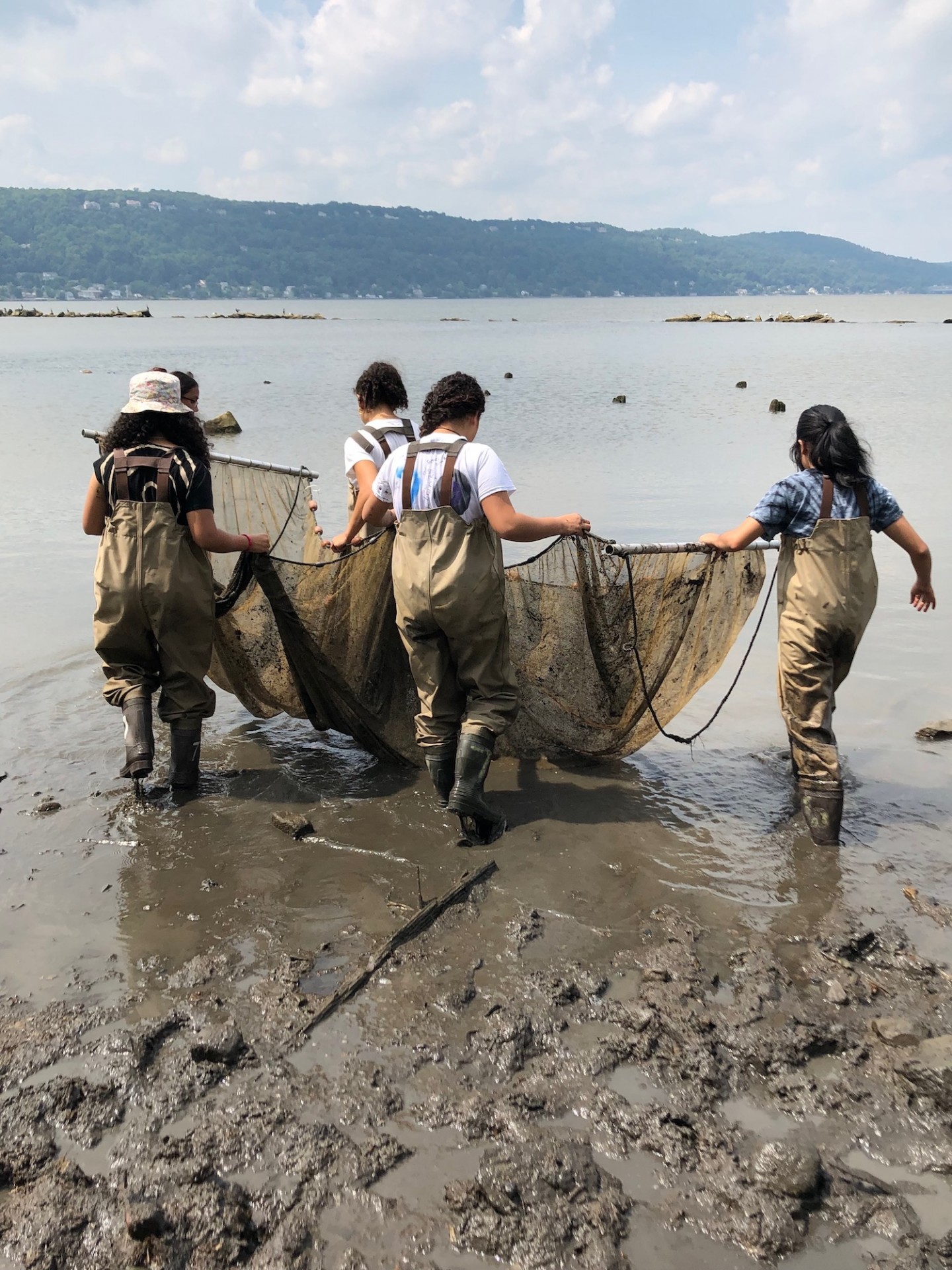 Next Gen students seined regularly to collect fish and macro invertebrate diversity and richness data Next Gen students seined regularly