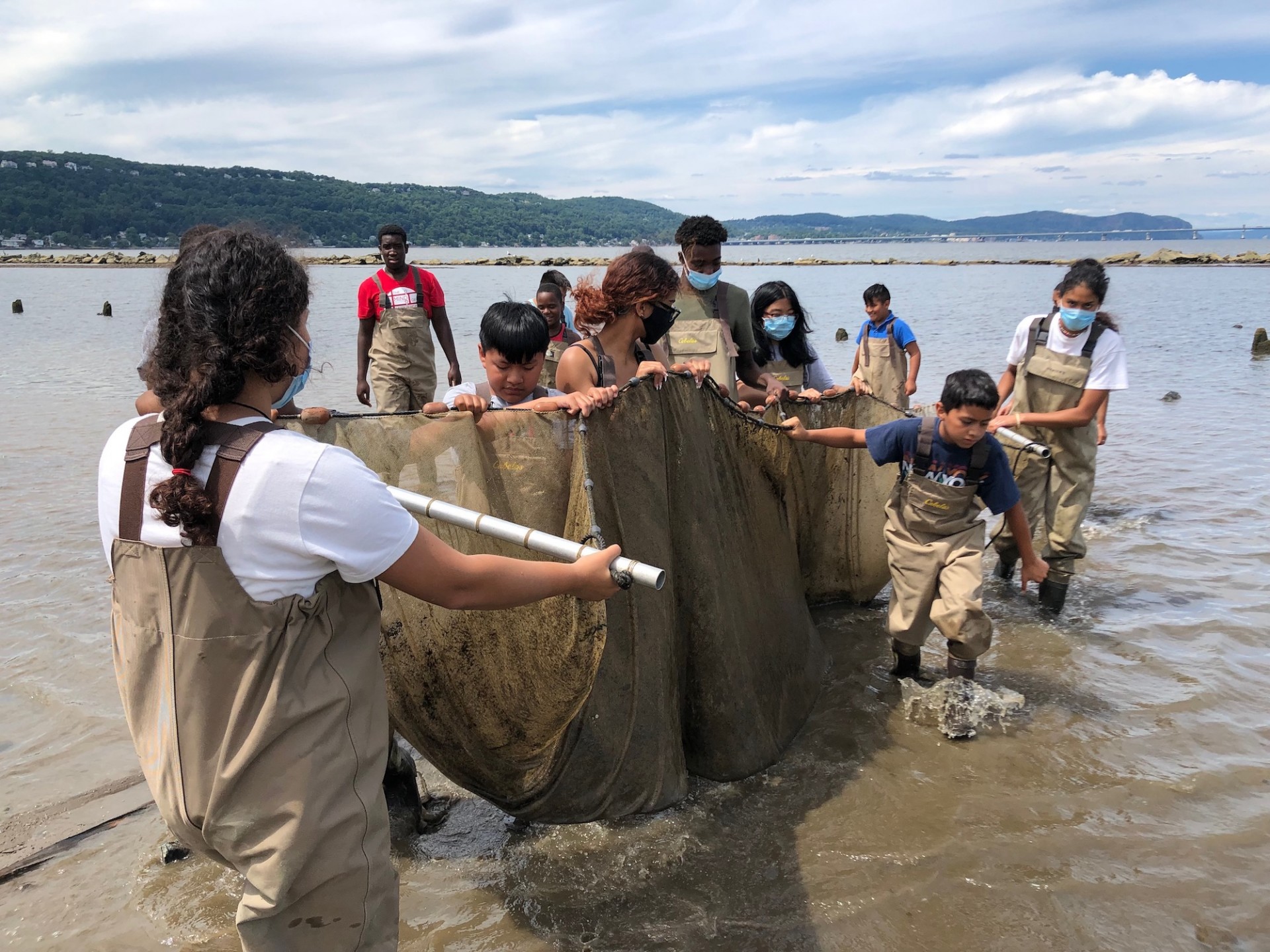 Seining at the Hudson River Field Station with the youth from the Martin Luther King Center Seining with the youth from Martin Luther King Center