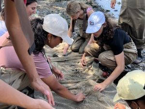 Next Gen Interns help participants look for fish and macroinvertebrates in a seine net People look through a seine net to find fish or crabs