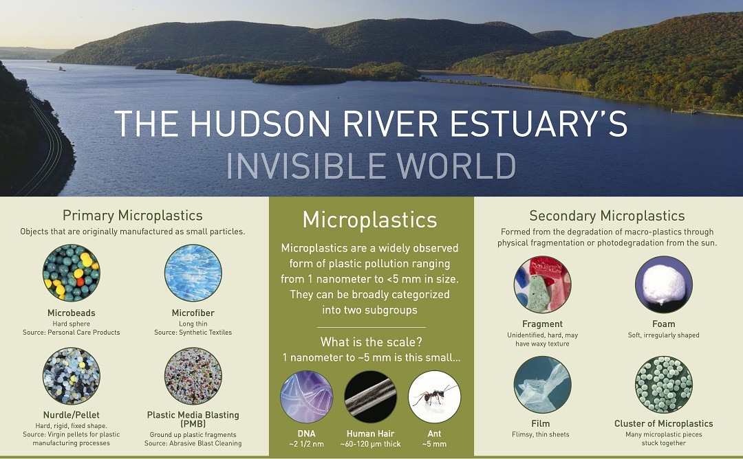 The invisible world station at the Hudson River Field Station is dedicated to exploring the microscopic living and nonliving things that are moving in the estuary: sediments, plankton, and microplastics.