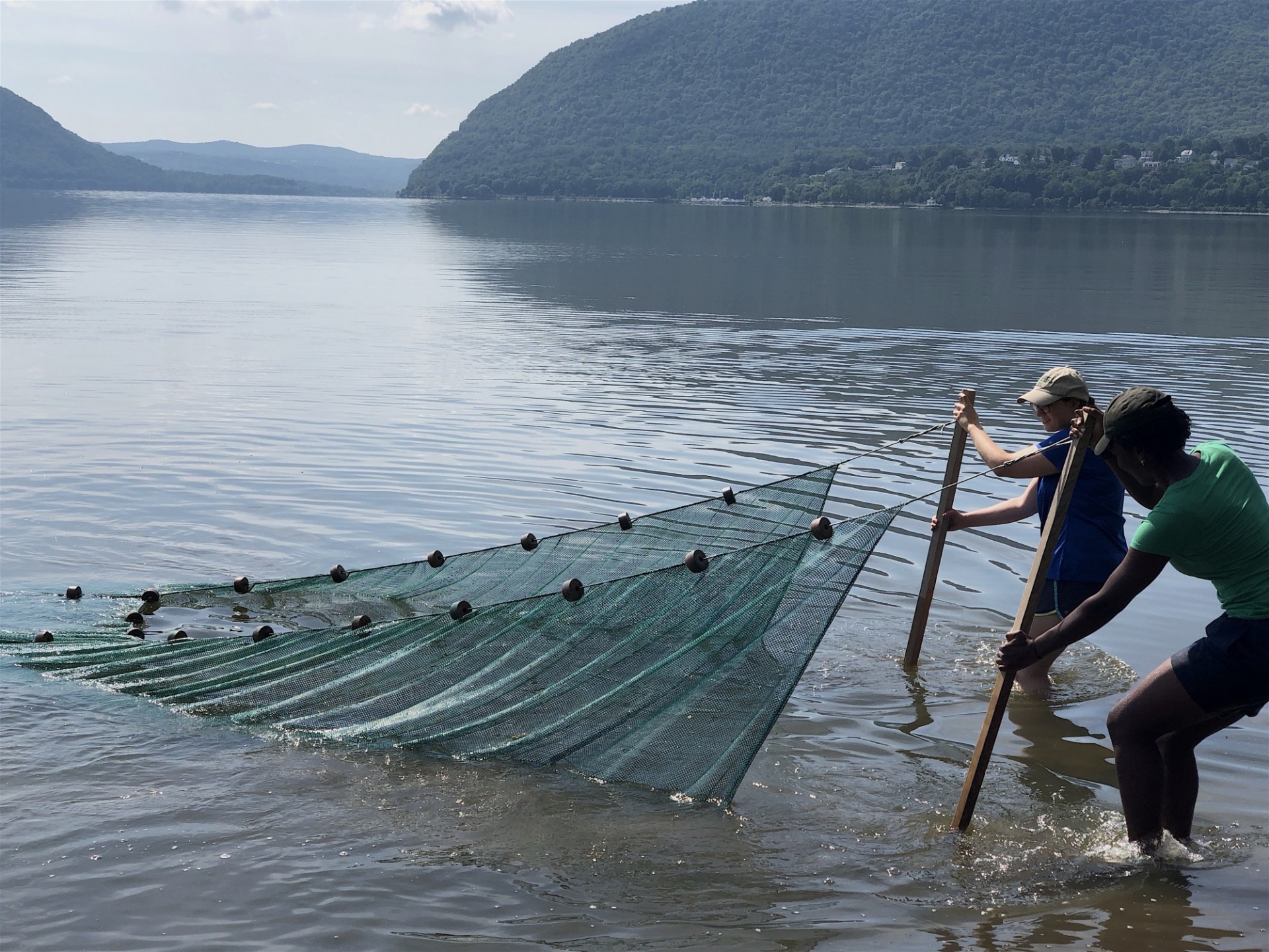 Seining in the Hudson River