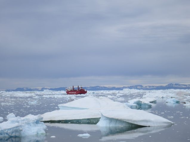 Icebergs discharged by Greenland’s Jakobshavn Glacier. Credit: Kevin Krajick/Earth Institute