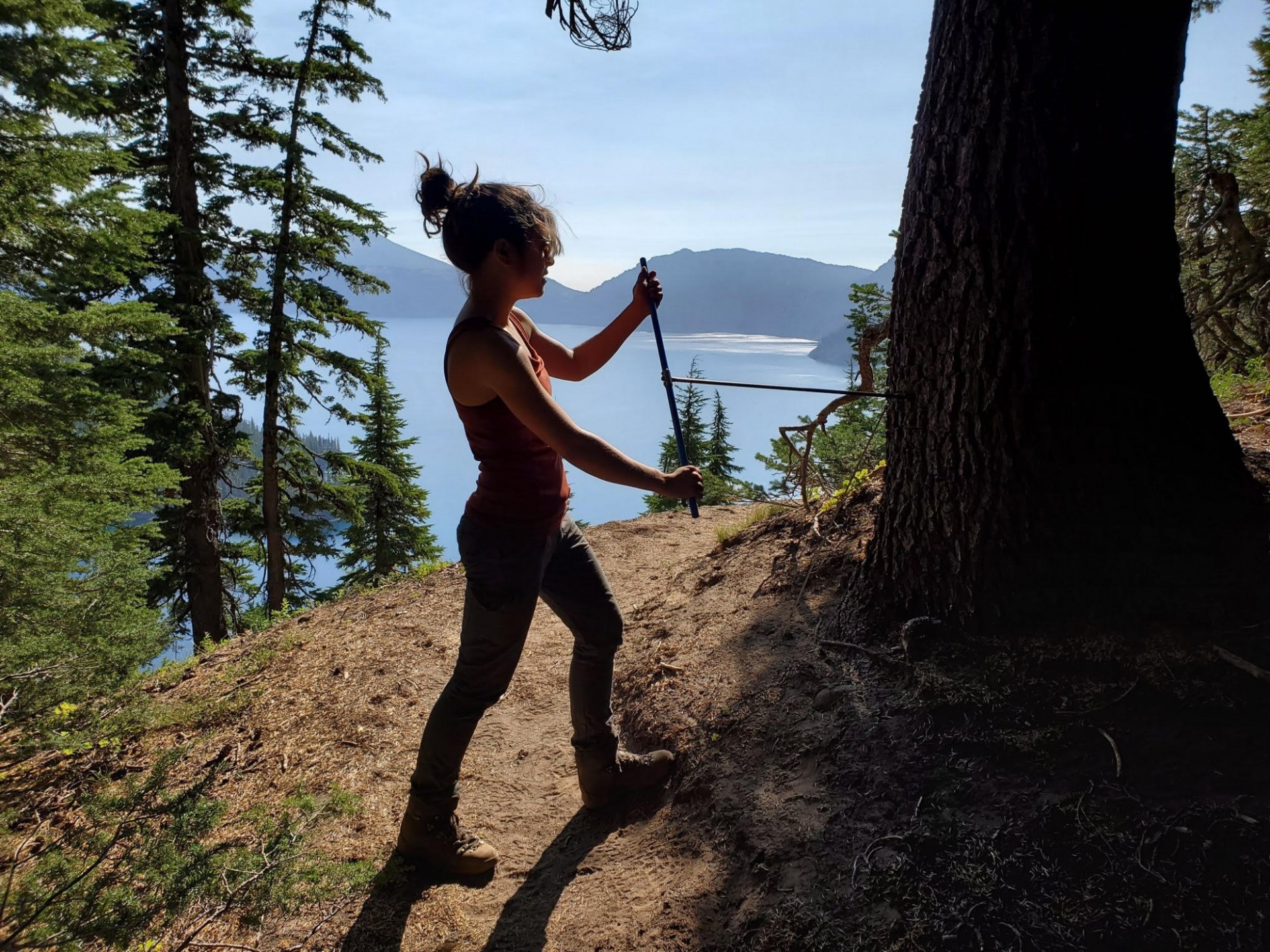 Karen Heeter takes a core sample from an old mountain hemlock near Crater Lake, Oregon, where at least one tree dated to the 1300s. Credit: Grant Harley, University of Idaho