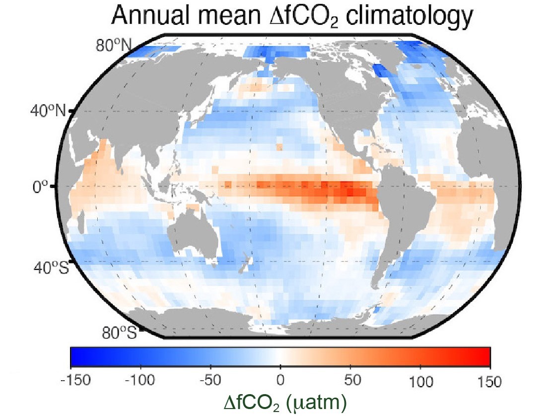 Annual mean fCO2 climatology