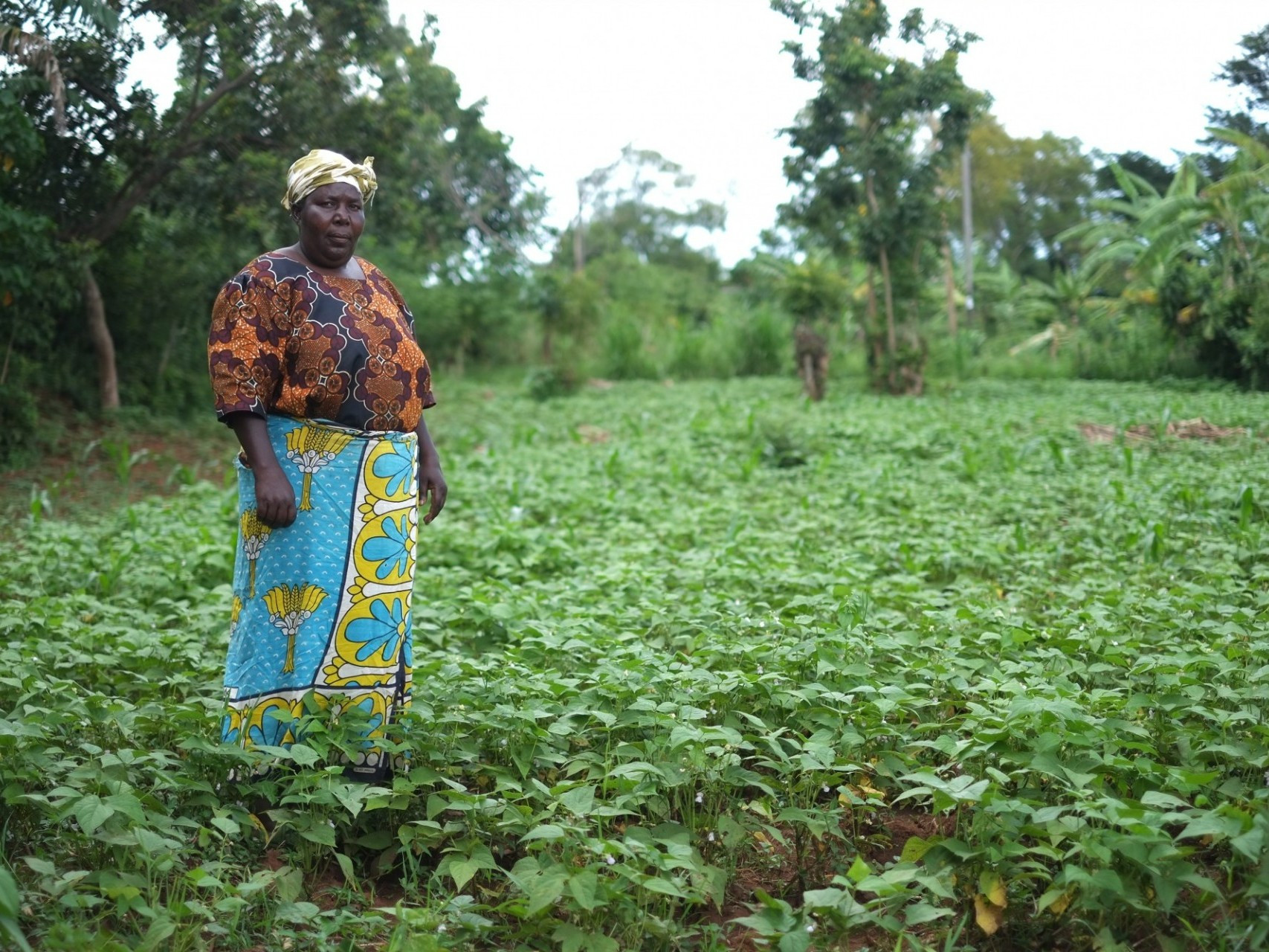 Farmer on her bean farm in Kenya. Credit: Kyu Lee