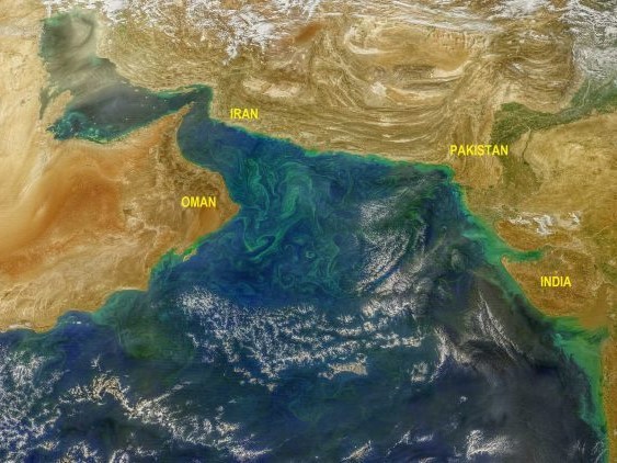 Noctiluca blooms in the Arabian Sea, as seen from space. Credit: Norman Kuring/NASA