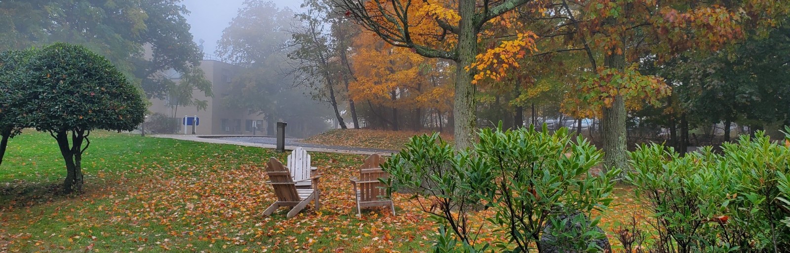 Lamont campus in fall. Credit: Miriam Cinquegrana