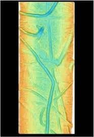 Processed Multibeam Bathymetry Data