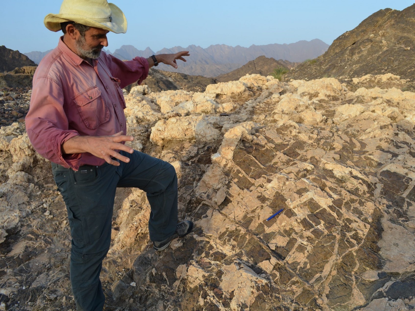 Geologist Peter Kelemen surveys an outcrop of exposed mantle rock in Oman. The light material is a carbon-based mineral that has reacted with the rock to form a solid deposit. Credit: Kevin Krajick