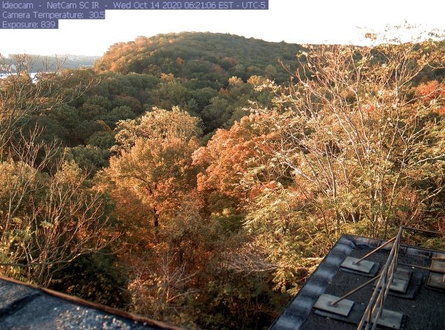 PhenoCam’s early morning view of the fall foliage on October 14, 2020.