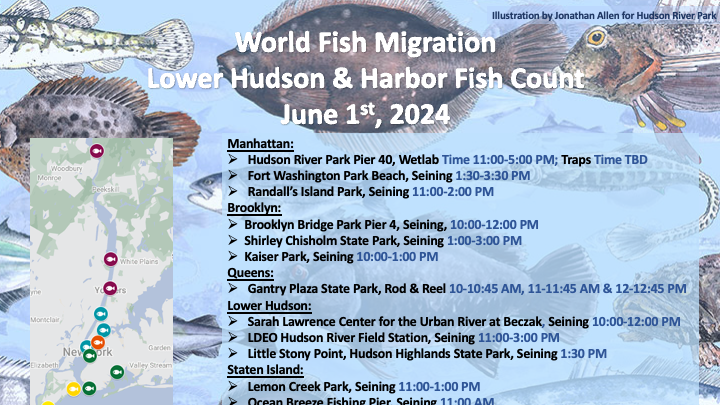 World Fish Migration Day 