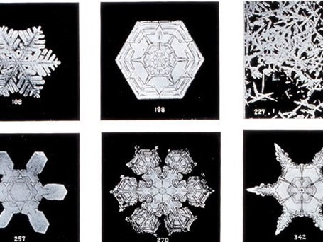 Studies among the Snow Crystal. Wilson Bentley, The Snowflake Man 1902. Credit: NOAA Photo Library.