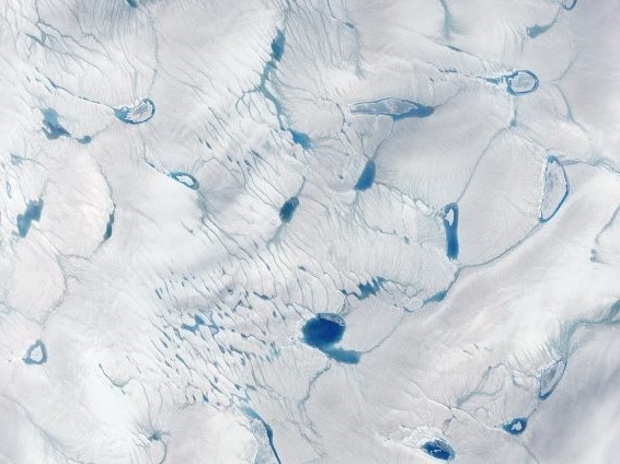 Surface melting on the Greenland Ice Sheet in June 2016. Credit: Jesse Allen/NASA Earth Observatory
