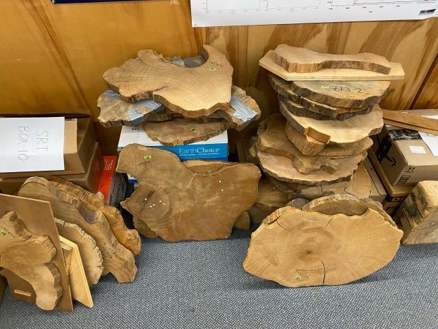 Tree cross sections collected in and around the Stanley River in Tasmania, Australia, and stored at the Tree Ring Lab. Credit: Tyler Zorn
