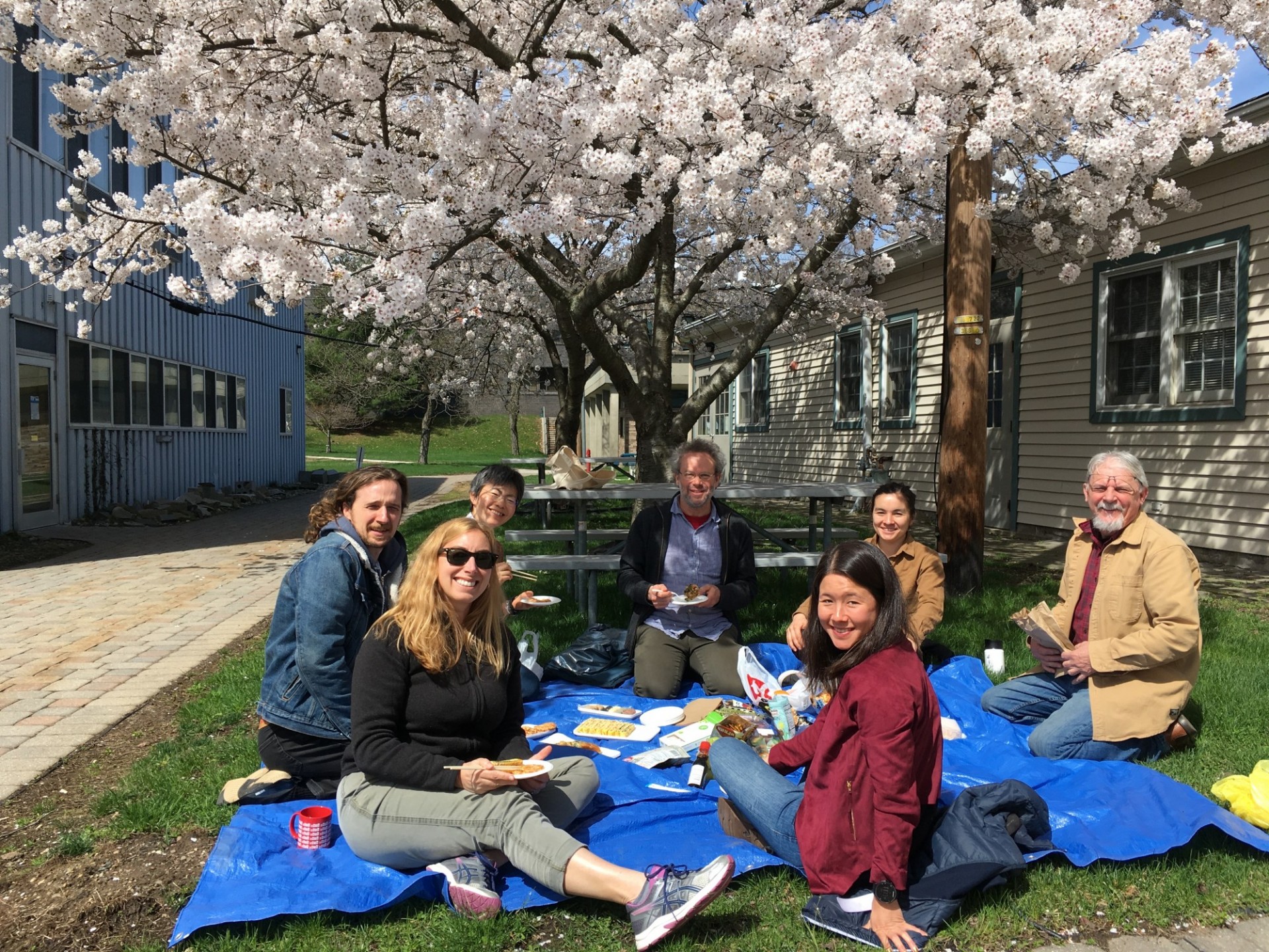 Rock Mechanics Lab celebrates hanami, this time with Atsuko Namiki visiting from Hiroshima (2019).