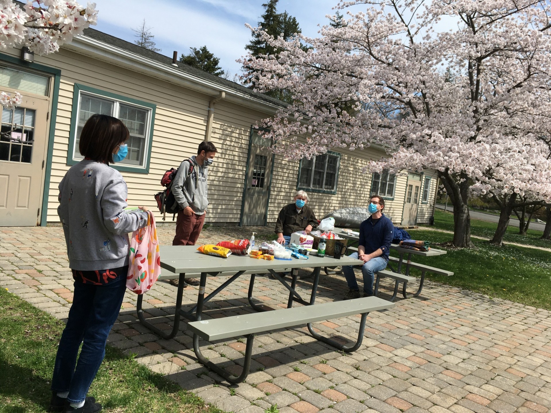 Hatsuki Yamauchi, Seth Saltiel, Ted Koczynski, and Jake Tielke celebrate hanami social-distance style (2021).